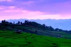 อุทยานแห่งชาติดอยอินทนนท์ เผยภาพความสวยงามธรรมชาติฟื้นตัว