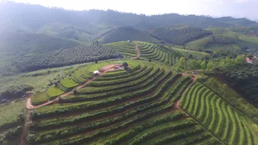 ท่องเที่ยวชุมชนบ้านน้ำจวง จ.พิษณุโลก ชมนาขั้นบันไดและสวนดอกไม้นานาพรรณ