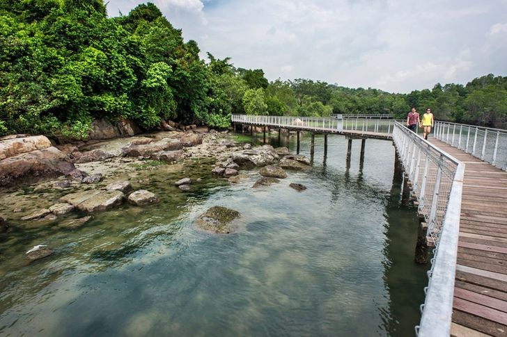 6pulauubin