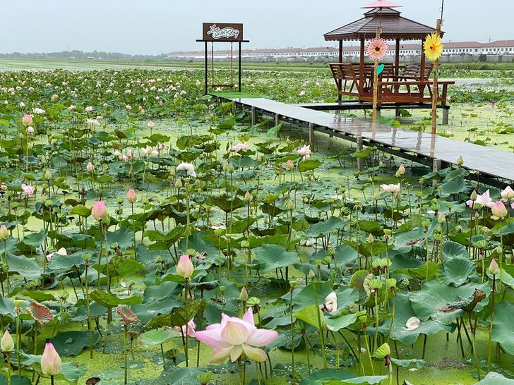 ก๋วยเตี๋ยวเรือบัวนา คลอง 7