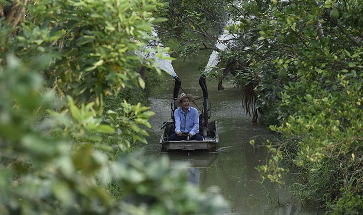 ล่องเรือเก็บส้มโออินทรีย์ ที่สวนไทยทวี