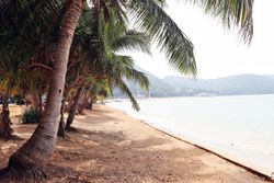 กองทัพเรือปิดหาดสัตหีบ งดกิจกรรมท่องเที่ยว