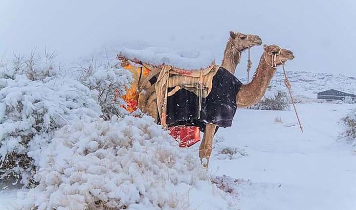 หิมะตกในทะเลทราย Sahara เป็นครั้งแรกในรอบ 50 ปี อุณหภูมิ - 2 องศา