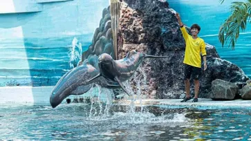 มาคนเดียวก็จะโชว์! Oasis Sea World วิกฤตหนัก นักท่องเที่ยวหดหาย