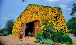 ดอกเหลืองชัชวาลปกคลุม The Birder’s Lodge เขาใหญ่ สร้างมิติใหม่ในการถ่ายรูป