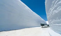 อัปเดต กำแพงหิมะ ญี่ปุ่น 2021 Tateyama-Kurobe Alpine Route ต้องไปสักครั้ง!