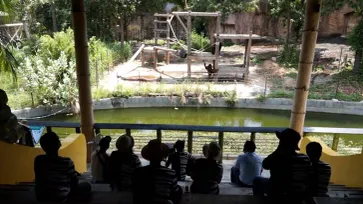 เผยภาพน่ารัก สวนสัตว์ขอนแก่นบรรเลงเพลงให้ลิงฟังคลายเครียด
