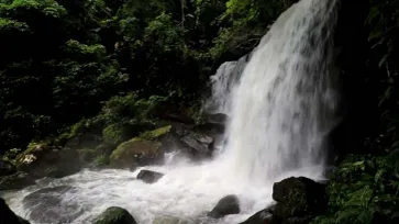 น้ำตกร่มเกล้าภราดรสวยงามตระการตาในช่วหน้าฝน ธรรมชาติฟื้นฟูหลังปิดการท่องเที่ยว