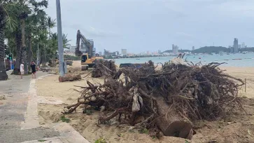 นายกพัทยาแถลงประเด็นร้อน “โค่นหูกวางชายหาด” โครงการปรับภูมิทัศน์ชายหาดพัทยา