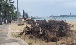 นายกพัทยาแถลงประเด็นร้อน “โค่นหูกวางชายหาด” โครงการปรับภูมิทัศน์ชายหาดพัทยา