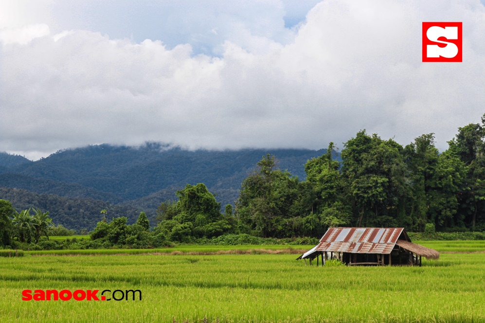 หมู่บ้านเมืองคอง