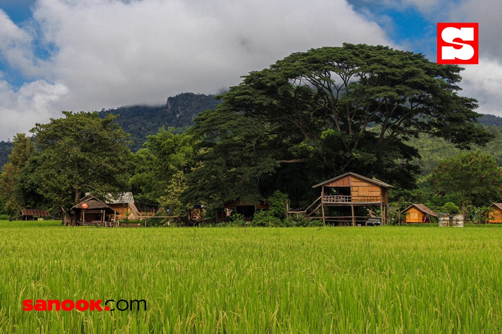 หมู่บ้านเมืองคอง