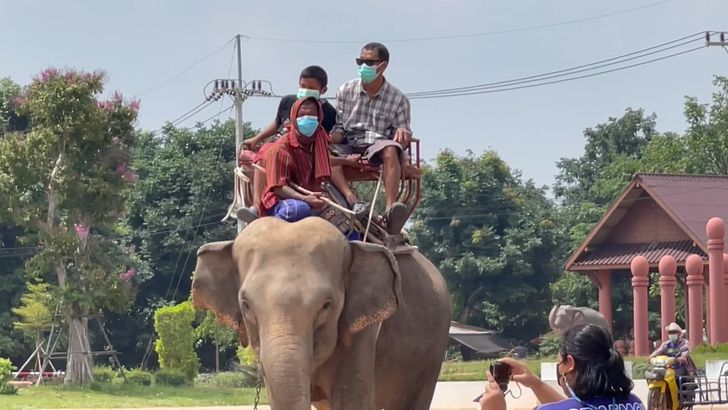 หมู่บ้านช้างเมืองสุรินทร์10