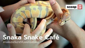 เปิดใจสักนิดแล้วแฮงก์เอาต์กับเหล่าอสรพิษที่ “Snaka Snake Café”