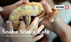 เปิดใจสักนิดแล้วแฮงก์เอาต์กับเหล่าอสรพิษที่ “Snaka Snake Café”