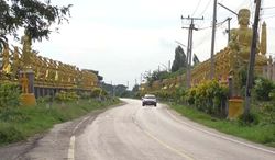 อันซีนอ่างทอง ถนนพระสีวลีเหลืองอร่ามสองข้างทาง จากความศรัทธาพระชาวบ้าน
