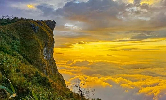 ภูชี้ฟ้า เชียงราย หนึ่งในยอดดอยที่สวยที่สุด ของเมืองไทย