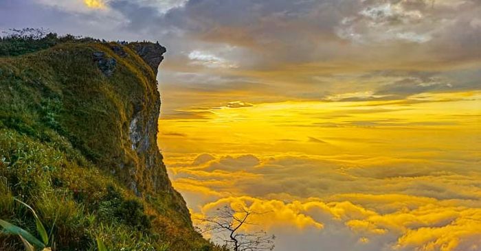 ภูชี้ฟ้า เชียงราย หนึ่งในยอดดอยที่สวยที่สุด ของเมืองไทย