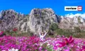 ทุ่งสิริสมัย ทุ่งดอกคอสมอสสีสันสดใสพร้อมวิวภูเขา มุมถ่ายรูปสุดปังใกล้กรุงเทพฯ