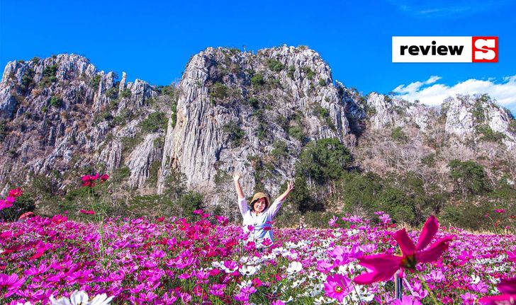 ทุ่งสิริสมัย ทุ่งดอกคอสมอสสีสันสดใสพร้อมวิวภูเขา มุมถ่ายรูปสุดปังใกล้กรุงเทพฯ