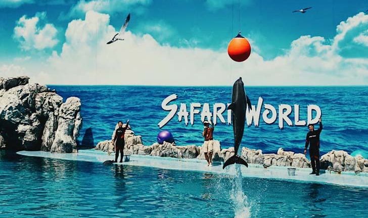 Safari World ปล่อยโปรโมชัน 999 บาท เที่ยวได้ทั้งปี โปรดีๆ ต้องรีบไปจัด!