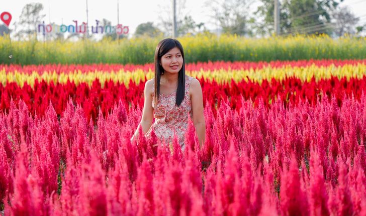 บ้านสวนน้ำกะวิว สวนดอกไม้สีสันสวยงาม ที่เที่ยวใหม่บุรีรัมย์