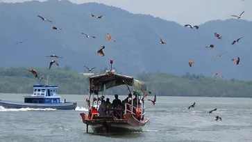 ล่องเรือกินซีฟู้ด ชมฝูงอินทรีย์กว่าร้อยตัว @สตูล