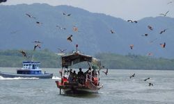 ล่องเรือกินซีฟู้ด ชมฝูงอินทรีย์กว่าร้อยตัว @สตูล