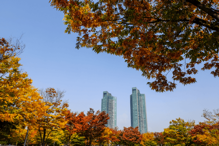 seoul-forest-canva-768x512