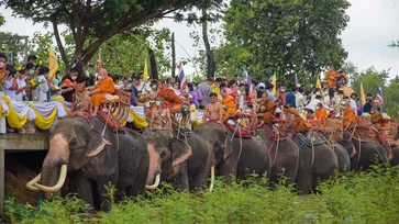 หาชมยาก! ประเพณีตักบาตรบนหลังช้าง จังหวัดบุรีรัมย์