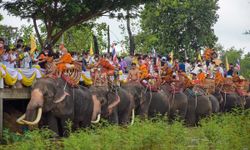 หาชมยาก! ประเพณีตักบาตรบนหลังช้าง จังหวัดบุรีรัมย์