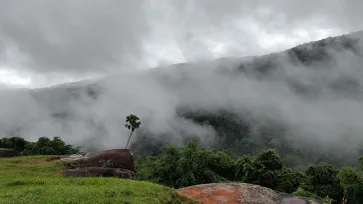 หมอกหลังฝนที่ภูหินร่องกล้า สวยตระการตาในยามเช้า