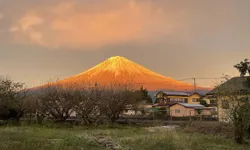 ภูเขาไฟฟูจิสีทอง ปรากฏการณ์หาชมยากที่แม้แต่คนญี่ปุ่นยังไม่เคยเห็นมาก่อน!