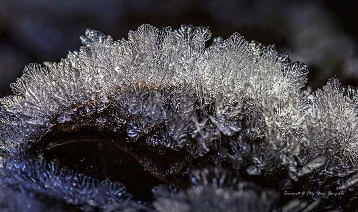 ภาพหาชมยาก! หุบเขาเย็นยะเยือก น้ำค้างกลายเป็นเกล็ดน้ำแข็งที่ภูหินร่องกล้า