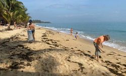 เปิดภาพประทับใจ นทท. ต่างชาติออกมาช่วยกันเก็บขยะบนชายหาดเกาะสมุย