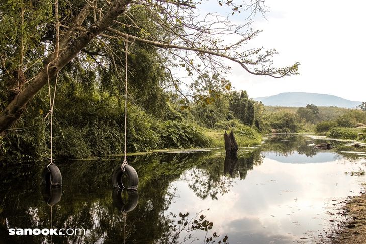 De Bear Campsite ลานกางเต็น สวนผึ้ง