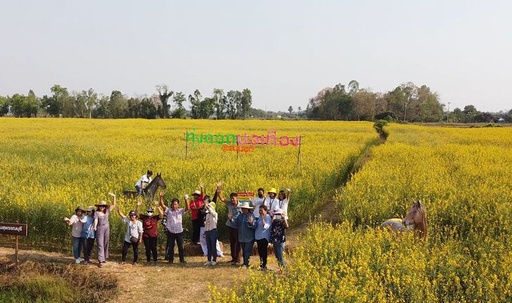 ทุ่งดอกปอเทือง สุพรรณบุรี มุมถ่ายรูปแห่งใหม่ใกล้กรุงเทพฯ