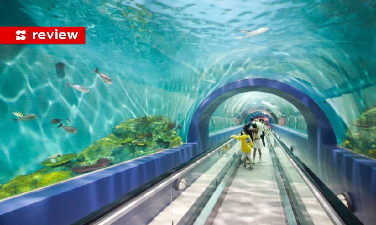 อัพเดตที่เที่ยวบางแสน 2023: BangSaen Aquarium, ตลาดปลา, ท่าช้างบางแสน และคาเฟ่ใหม่