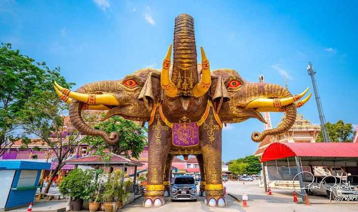 เคยเห็นกันไหม? ลอดท้องช้างแบบ Drive Thru ที่วัดบางจาก นนทบุรี