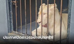 Osauce Mini Zoo ประกาศปิดด่วนหลังเปิดเข้าชมฟรีมาได้ 1 สัปดาห์ ด้วยเหตุผลน่าเศร้า