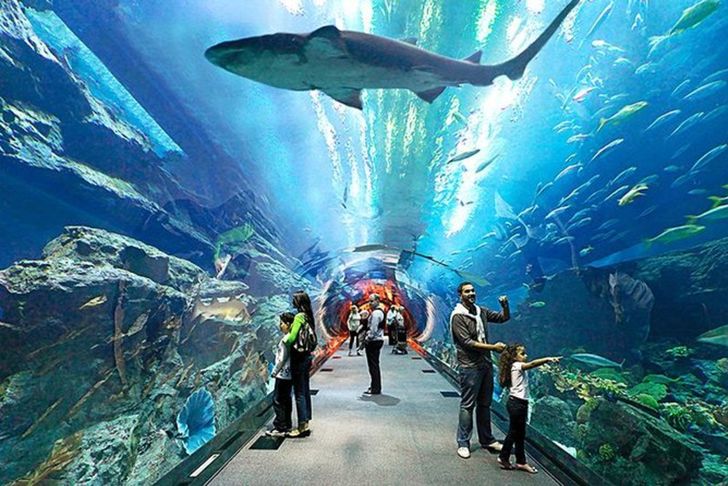 อันเดอร์วอเตอร์เวิลด์ พัทยา (Underwater World Pattaya) ที่เที่ยวใกล้กรุงเทพฯ