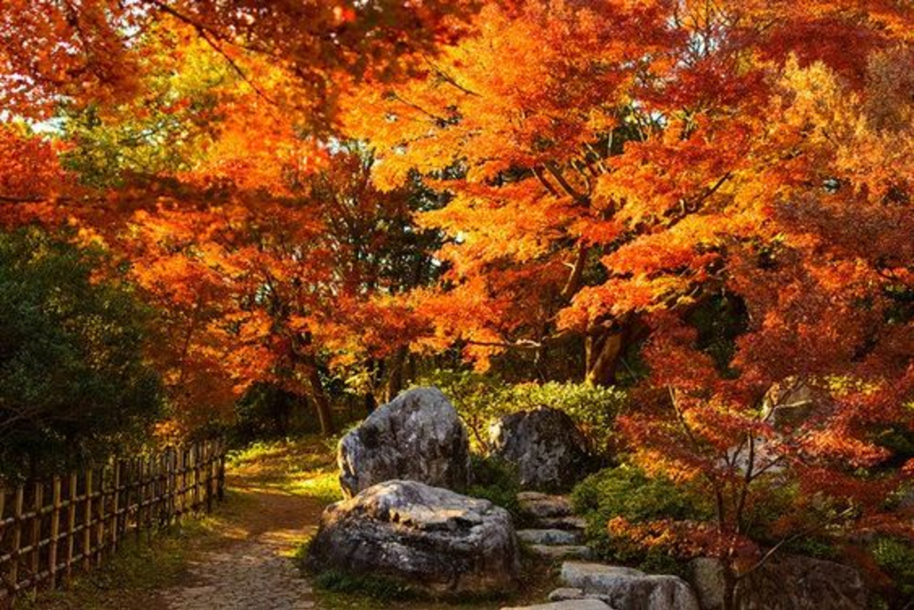 ขอบคุณรูปภาพจาก kyuhoshi.com l สถานที่ชมใบไม้แดงในญี่ปุ่น ในช่วงฤดูใบไม้ร่วง ของญี่ปุ่น 
