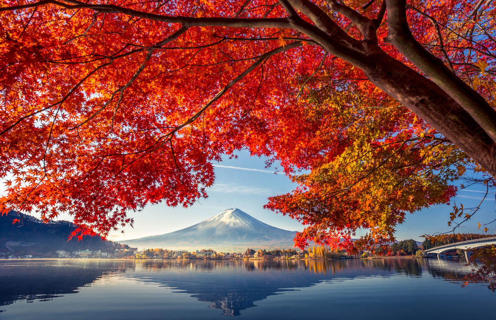 ขอบคุณรูปภาพ when or where l ที่เที่ยวสำหรับชมใบไม้เปลี่ยนสีได้ที่นี่ ทะเลสาบคาวากุจิโกะ 