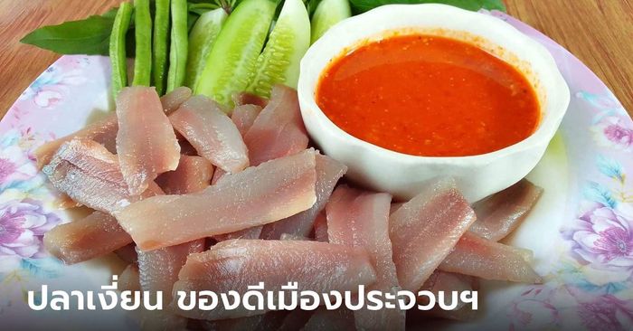 ปลาเงี่ยน ซาซิมิไทย ของดีแห่งเมืองประจวบฯ ชื่อเรียกสะดุดตา รสชาติสะดุดใจ