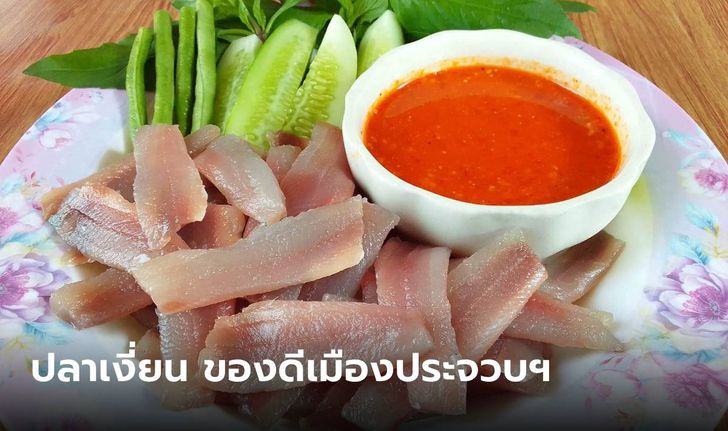 ปลาเงี่ยน ซาซิมิไทย ของดีแห่งเมืองประจวบฯ ชื่อเรียกสะดุดตา รสชาติสะดุดใจ