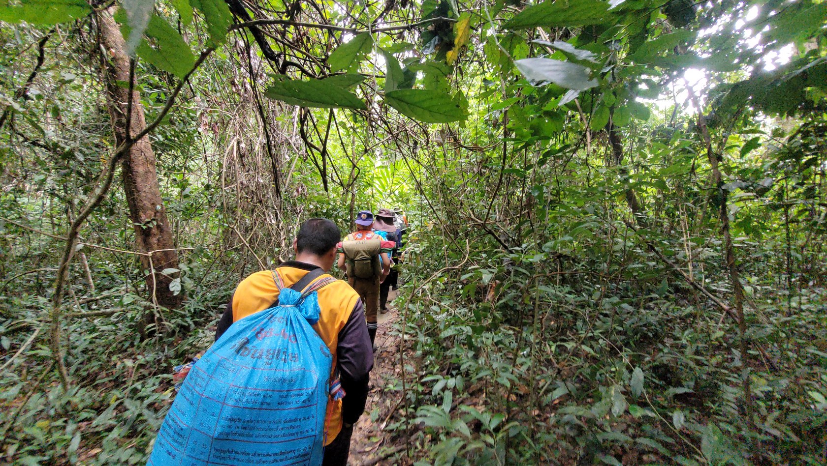 ทุ่งโนนสน อุทยานแห่งชาติทุ่งแสลงหลวง อ.เนินมะปราง จ.พิษณุโลก