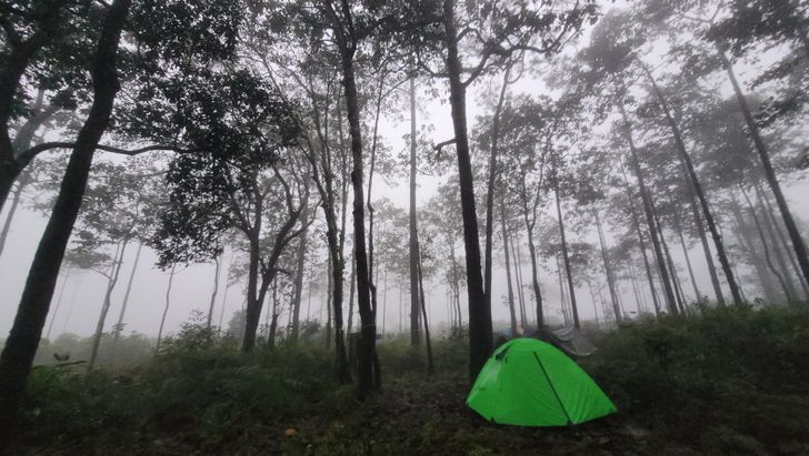 ทุ่งโนนสน อุทยานแห่งชาติทุ่งแสลงหลวง เนินมะปราง จ.พิษณุโลก