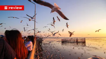 นกนางนวล บางปู มาแล้ว เตรียมชุดสวยไปถ่ายรูปที่ สถานตากอากาศบางปู กันได้เลย!