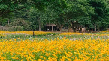 ม่วนซื่น เต็มอิ่มกับเรื่องราววัฒนธรรมอีสานท่ามกลางธรรมชาติฤดูหนาว จิม ทอมป์สัน ฟาร์ม 2566