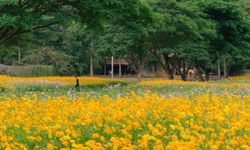 ม่วนซื่น เต็มอิ่มกับเรื่องราววัฒนธรรมอีสานท่ามกลางธรรมชาติฤดูหนาว จิม ทอมป์สัน ฟาร์ม 2566